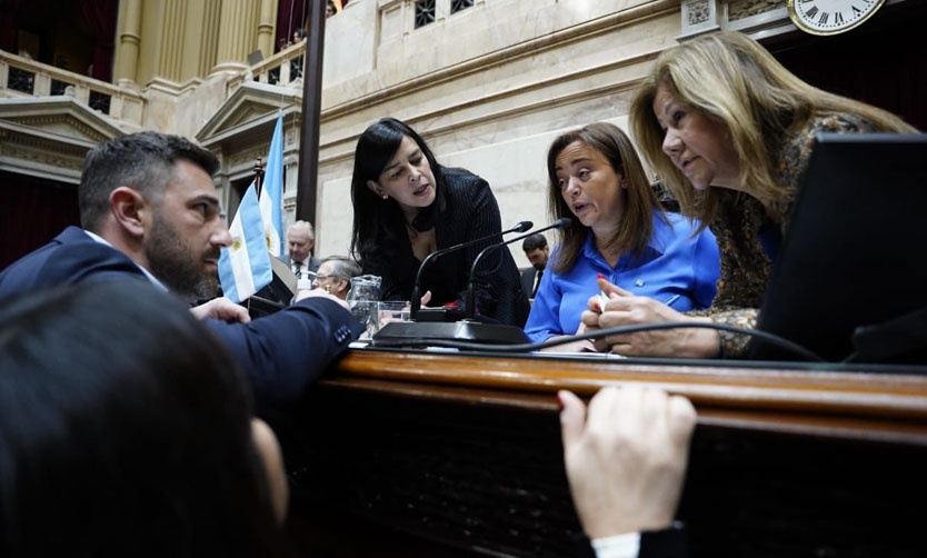 Diputados rechazó el atentado que sufrió Cristina Fernández de Kirchner