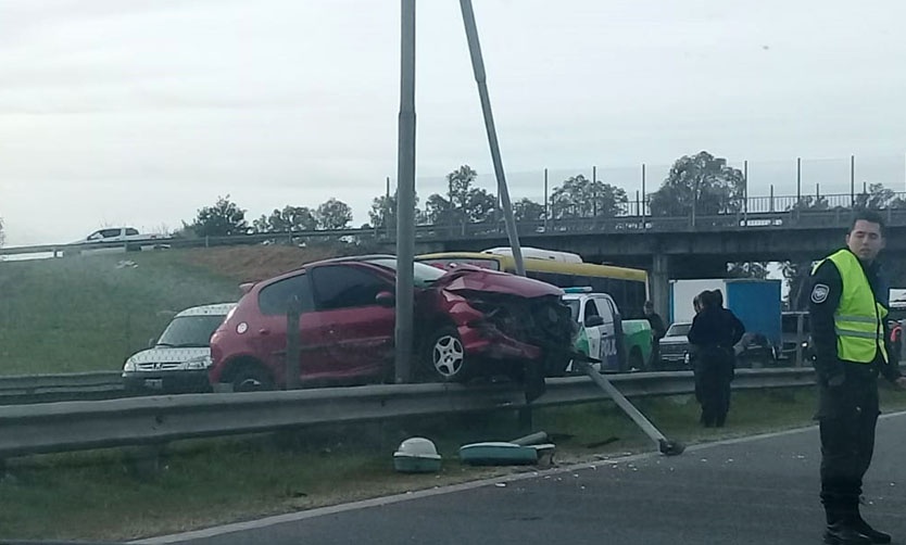 Se le cruzó un perro mientras conducía por la Panamericana y terminó chocando