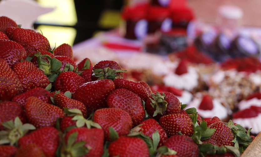 Pilar se prepara para la tercera edición de la fiesta de la frutilla  