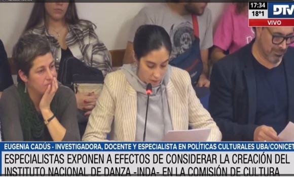 La Comisión de Cultura inició con expositores el debate sobre una Ley Nacional de Danza