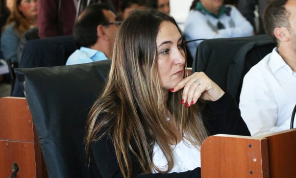 Tras la sesión fallida en el HCD; el Frente Renovador pidió "terminar con la grieta"