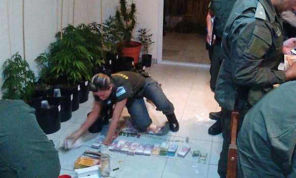 Detienen a pareja con más de 25 plantas de marihuana en un departamento de Pilar