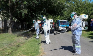 Tras temporada récord de casos, dan por finalizado el brote de dengue en Pilar