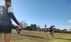 Se pone en marcha la Liga Municipal de Fútbol 11 Femenino