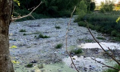 Piden que se evalúe el nivel de contaminación del Río Luján