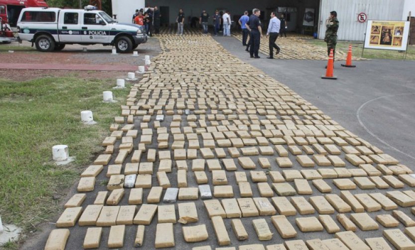 Especialistas descartan que las ratas puedan haberse comido 540 kilos de marihuana