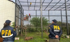 Rescataron de un zoológico clandestino a animales en cautiverio